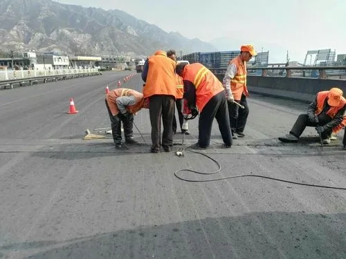 丽水道路桥梁病害治理